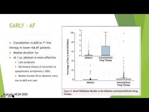 Persistent Atrial Fibrillation: A New Landscape