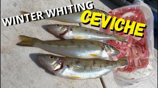 Making Winter Whiting Ceviche