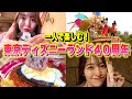 お一人様でディズニーランド40周年を楽しむ！パレード観賞場所も紹介します♪