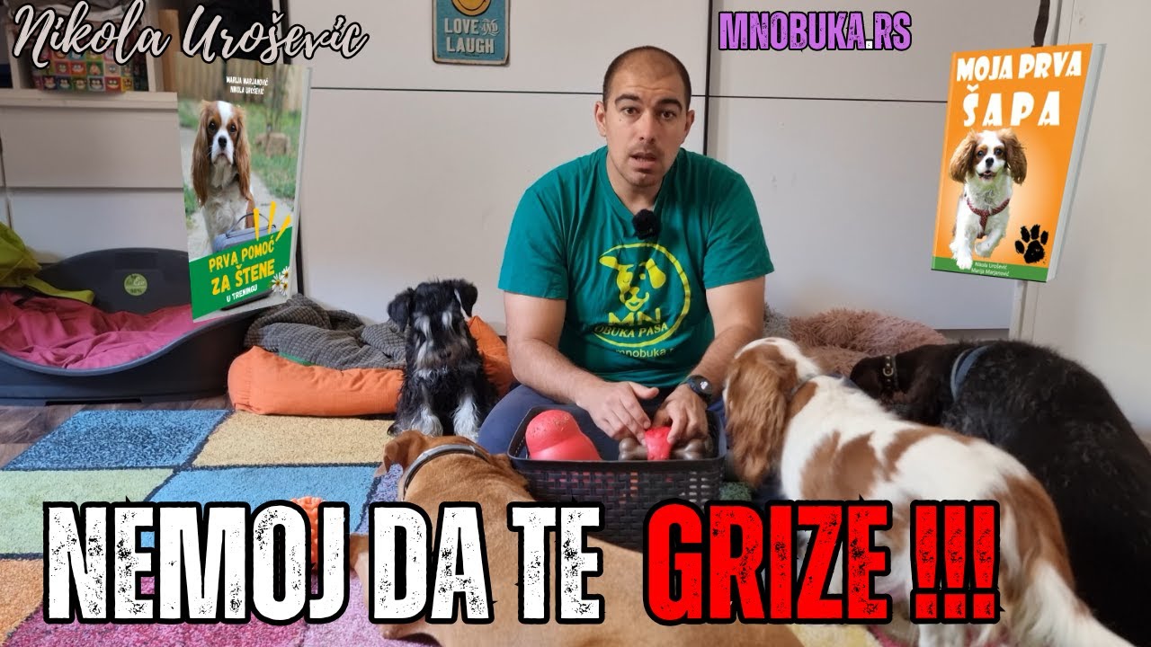 NEMOJ ŠTENETU DA DOZVOLIŠ DA TI GRIZE PRSTE! NE POMAŽEŠ MU TAKO! - OBUKA PASA - EDUKACIJA VLASNIKA
