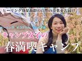 【キャンプ女子】食べて昼寝して癒される春キャンプ［asmr］
