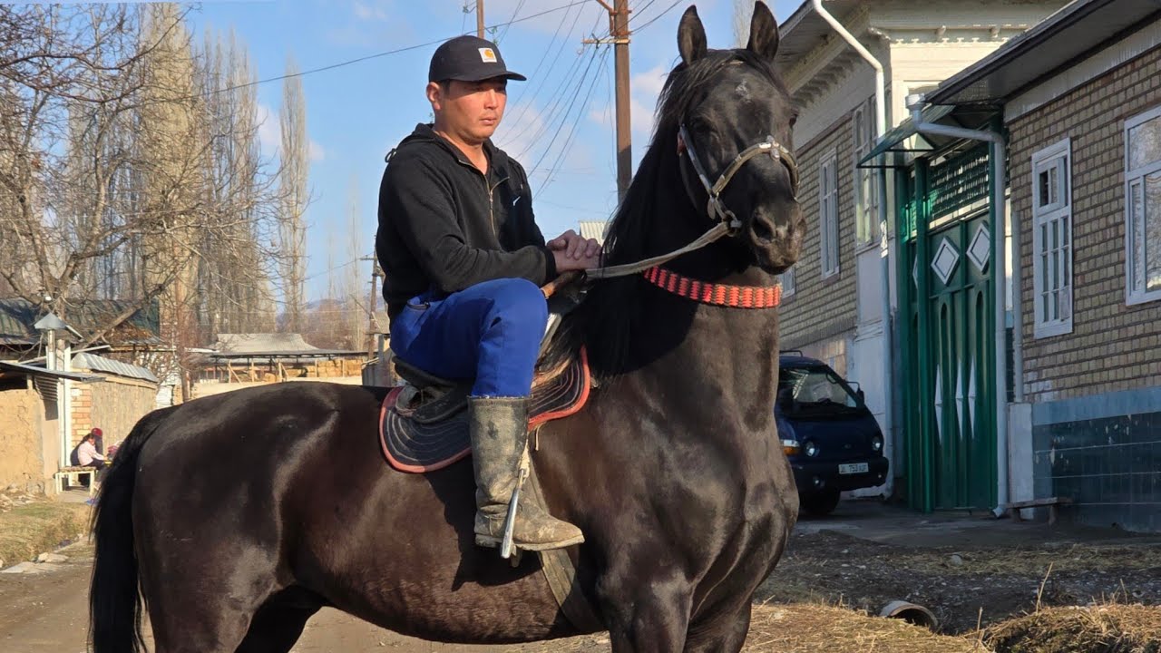КАРАГЕР  арзан баада  Рысбек аажыдан Сатууга Чыкты 