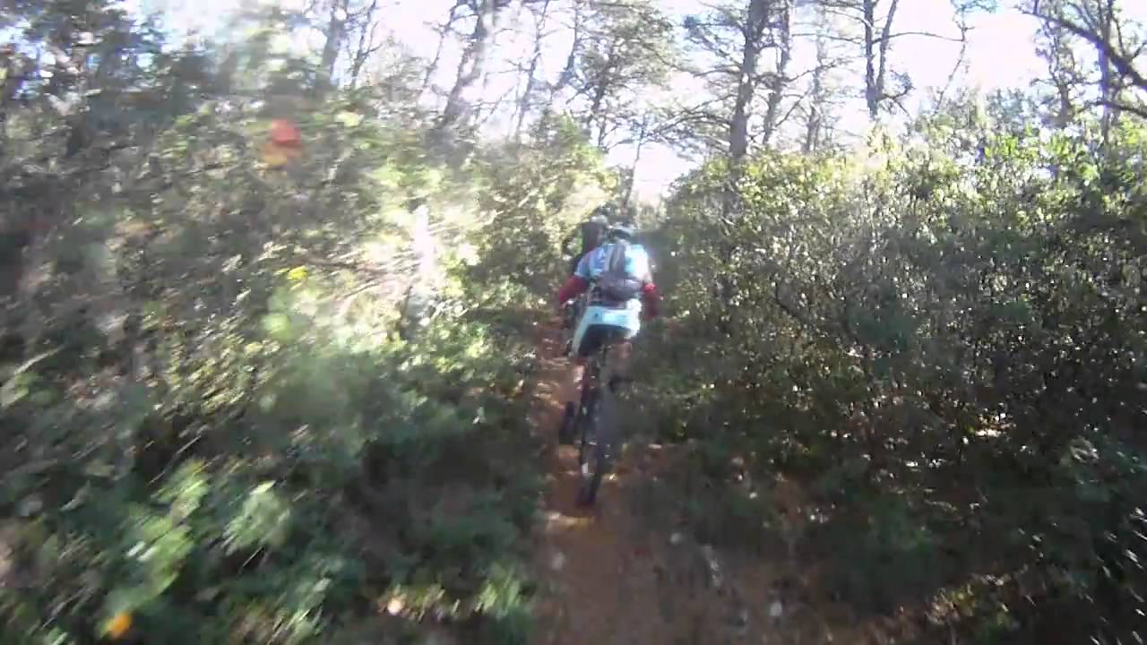 Chestnut Ridge Trail (3rd clip) - Shenandoah Mountain 100 - George ...