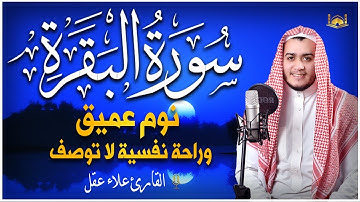 قران كريم طارد الشياطين 💚تلاوة هادئة للنوم 💤 والراحة النفسية💚 بصوت هادئ ومريح جدا 😴علاء عقل