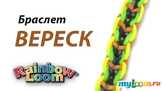 Браслет ВЕРЕСК из резинок Rainbow Loom Bands. Урок 268 | Bracelet Rainbow Loom Браслет ВЕРЕСК из резинок Rainbow Loom Bands. Урок 268 | Bracelet Rainbow Loom