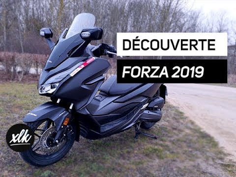 Honda Forza 125  Scooter - TrucksNL