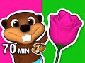 "Pink Flower Song" Plus More | 70 Min Compilation, Learn Colors with Busy Beavers, Teach Toddlers