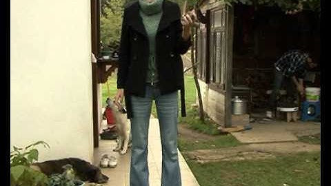 CAN YOU? - European Effect In Short