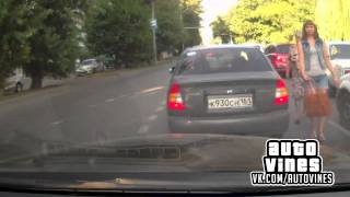 Auto Vines №72