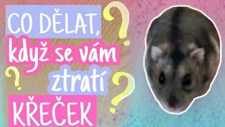 CO DĚLAT, KDYŽ VÁM UTEČE KŘEČEK | Hams terka