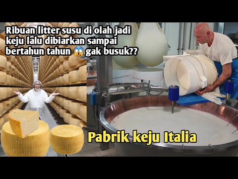 Video: Bagaimana anda membuat keju Parmesan cair?