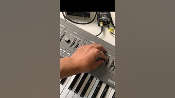 Doepfer MSY2 Synced with SH-101 and MFB-501 Pro #rolandsh101 #mfb501pro #synthesizer #rhythmmachine
