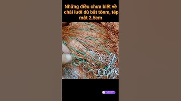 Những điều chưa biết về chài lưới dù bắt tôm, bắt tép, mắt 2.5cm. fishing net #shorts