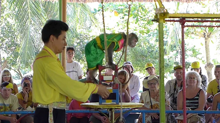 Vietnam- Nha Trang- Monkey Island - Monkey Circus Show HD