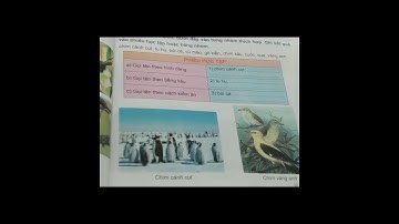 TV lớp 2 - Bài 21B