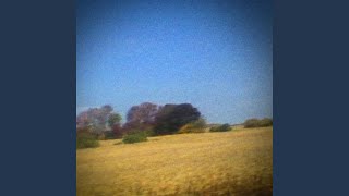 Video thumbnail of "Sun Kil Moon - I Can't Live Without My Mother's Love"