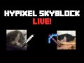 foraging update is out! | Hypixel skyblock live