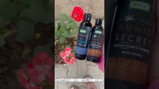 SEAWEED or HUMIC ACID? Part 1.- Which one works better on flowers & plants? #fertilizer #gardening