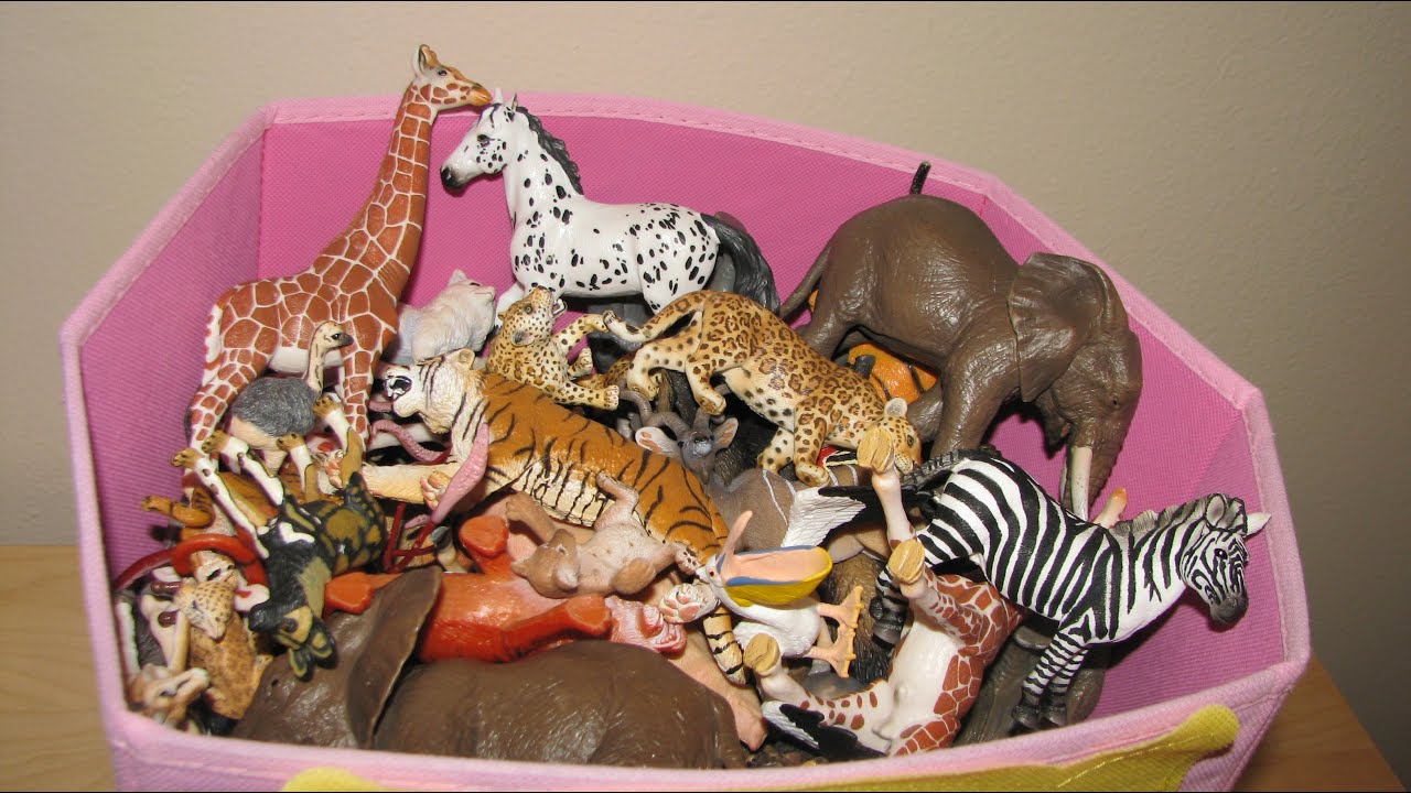 Kids box wild animals