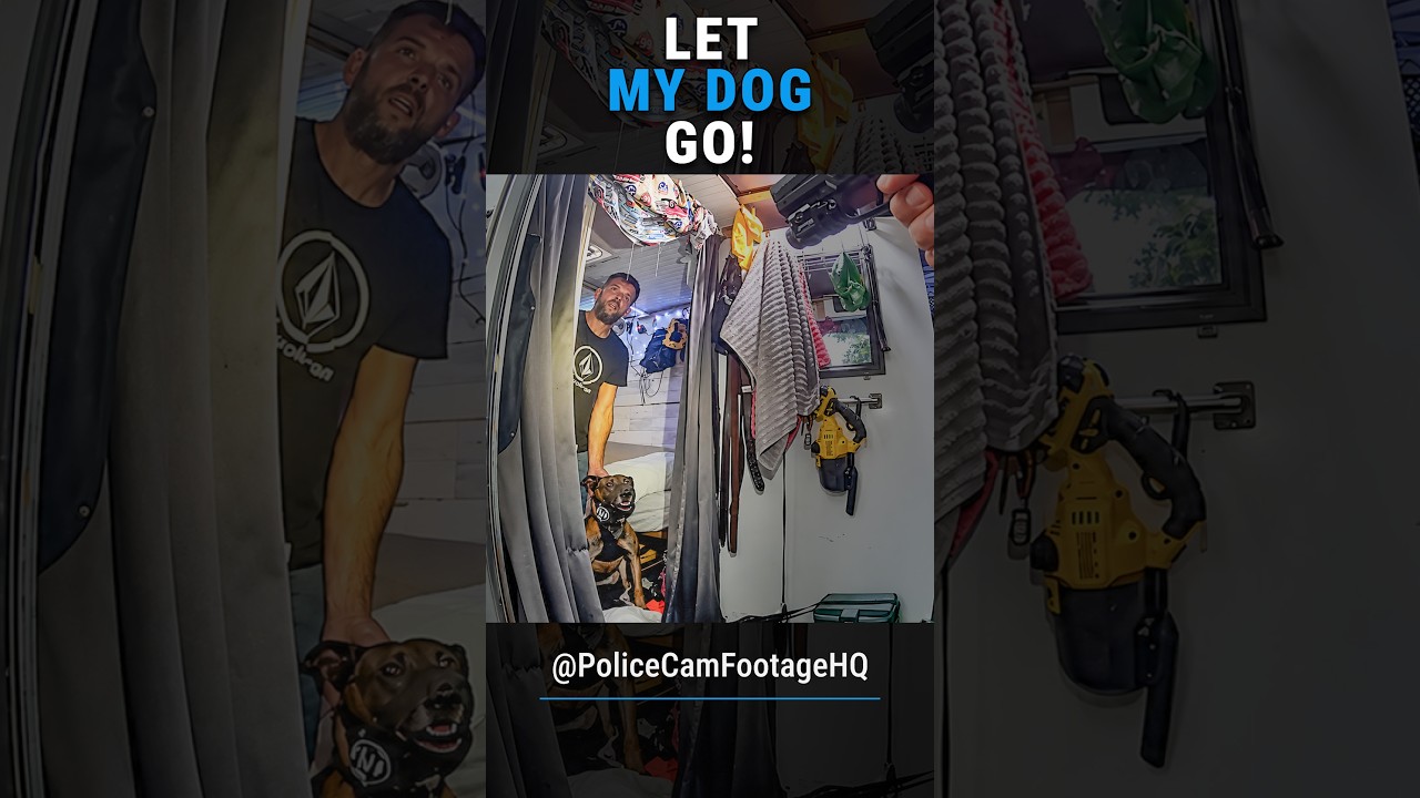 Suspect Refuses to Let Go of Police K-9 During Arrest! #Shorts