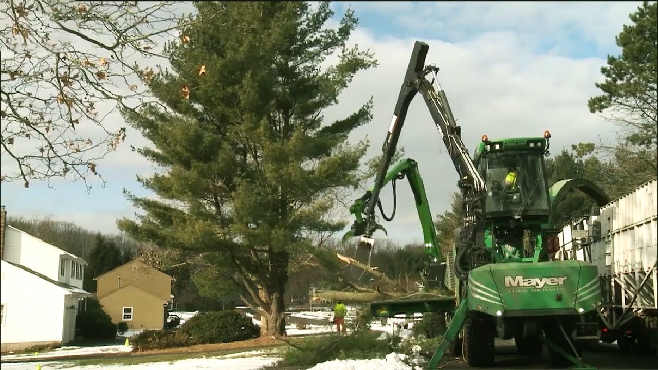Biggest Powerful Wood Chipper Machines Working - YouTube