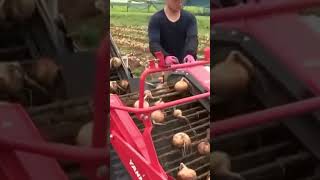 YANMAR Onion Picker Walking Type with Steel Container Housing Specifications #shorts #agrimachinery