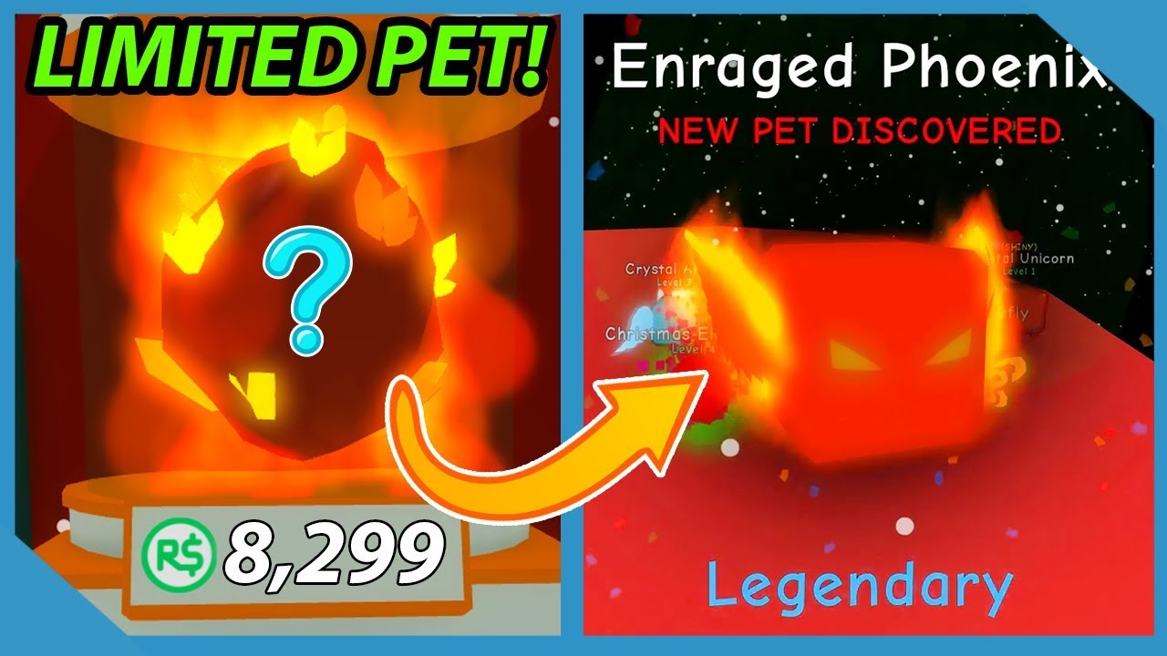 Buying Limited Enraged Phoenix Pet In Roblox Bubble Gum Simulator 8299 Robux Youtube - phoenix pet roblox