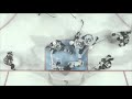Colorado Eagles 3, Milwaukee Admirals 1