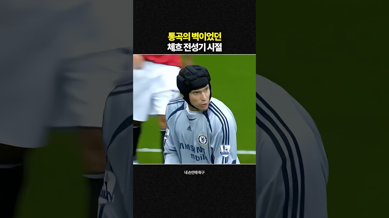통곡의 벽이었던 체흐 전성기 시절