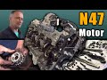 Mit kell tudni az N47 motorról? ✌️| BMW F31 318D | Miért szakitja el a láncot?🤔