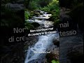 Motivazionale per te. #perte #motivation #motivational #motivationalvideo