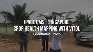 Crop Health Mapping with VITOL | IPAGEUMS - Drone Service Providers