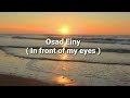 Osad Einy - Amr Diab