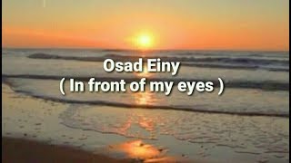 Osad Einy - Amr Diab