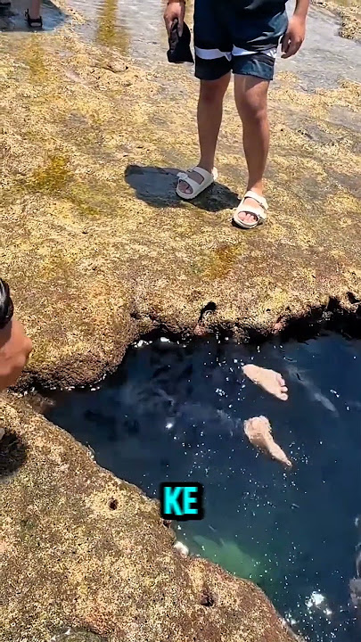 penasaran cewek ini coba menyelam‼️😱#shortvideo