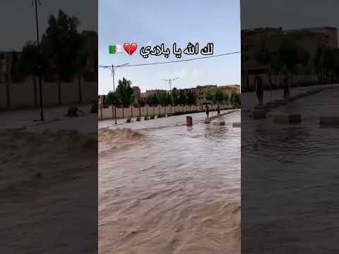 لك الله يا الجزائر