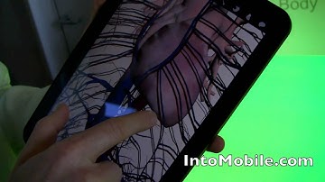 Google Body Android app - Hands-on the Android Honeycomb tablet-optimized app from Google HQ