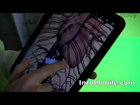 Google Body Android app - Hands-on the Android Honeycomb tablet-optimized app from Google HQ