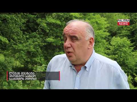 ხე-ტყის უკანონოდ მოპოვებისა და ტრანსპორტირების ფაქტი გამოვლინდა