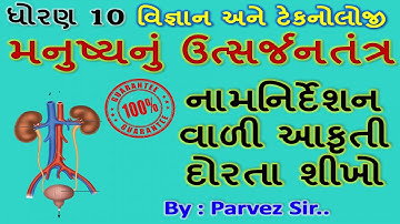 Std-10, વિજ્ઞાન |પાઠ-6 :-જૈવિક ક્રિયાઓ |મનુષ્યનું ઉત્સર્જનતંત્ર |Manushya nu Utsarjantantra