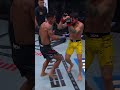 Joshua Van ထိုးသွားတာက လက်တော်တော် မြန်တာပဲ #ufc317