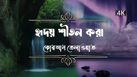 Surah Al-A'la Heart touching عبد الرحمن مسعد | سورة الأعلى হৃদয় শীতল করা কোরআন তেলাওয়াত