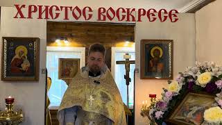 видео: Неделя 19 по Пятидесятнице. Проповедь отца Андрея Дорофейчева.  картинка: Неделя 19 по Пятидесятнице. Проповедь отца Андрея Дорофейчева.