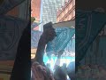 I watched the Manchester City bus go past