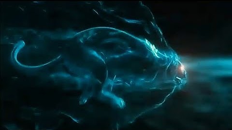 3d Intro Without Text|(link 🔗 in👇 Description)3D Jaguar Run Intro Without Text No Copyright |RN|3d