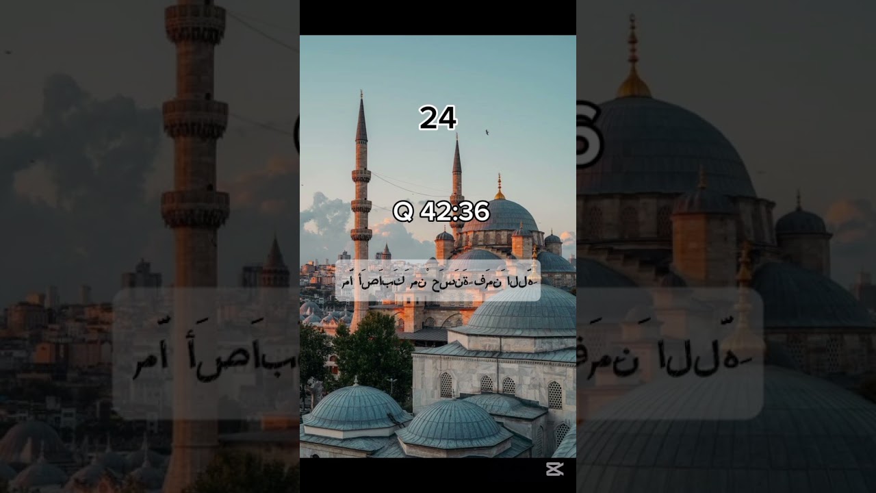30 most beautiful verse of The Quran | Part 24 and 25 #islamic #islam #verse #quran