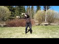 Baduanjinqigong yksi asahin taustataidoista