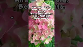 Motivasi Kehidupan nasehat hatimu terluka alibinabithalib shortsfeed motivasi quotes short