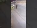 الشاب مهند العسود من بلدة إذنا، أثناء انسحابه بعد عملية ترقوميا