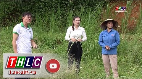 Chủ tịch hội nông dân huyen là gì năm 2024